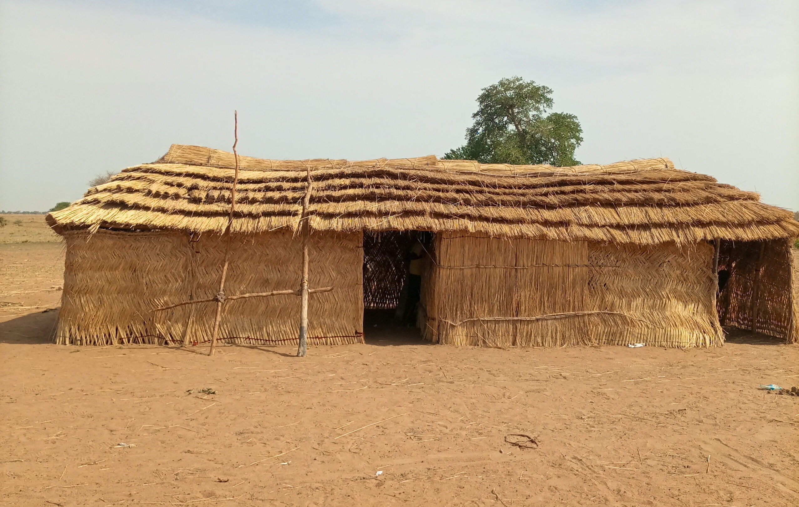 A thatched timber-framed classroom, on a dusty brown patch of land. A green tree can be seen in the background. Classrooms are essential for improving education in South Sudan